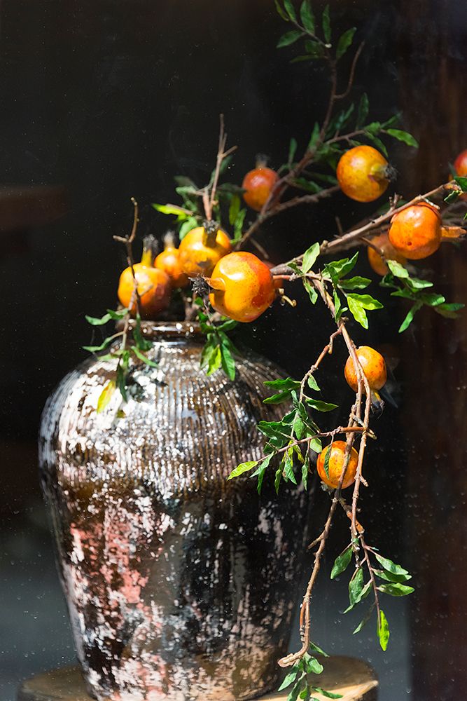 Pomegranate grown from a wine jar-Tangqi Ancient Town-Hangzhou-Zhejiang Province-China